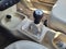 2007 Volkswagen Beetle 2.5L
