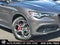 2024 Alfa Romeo Stelvio Ti