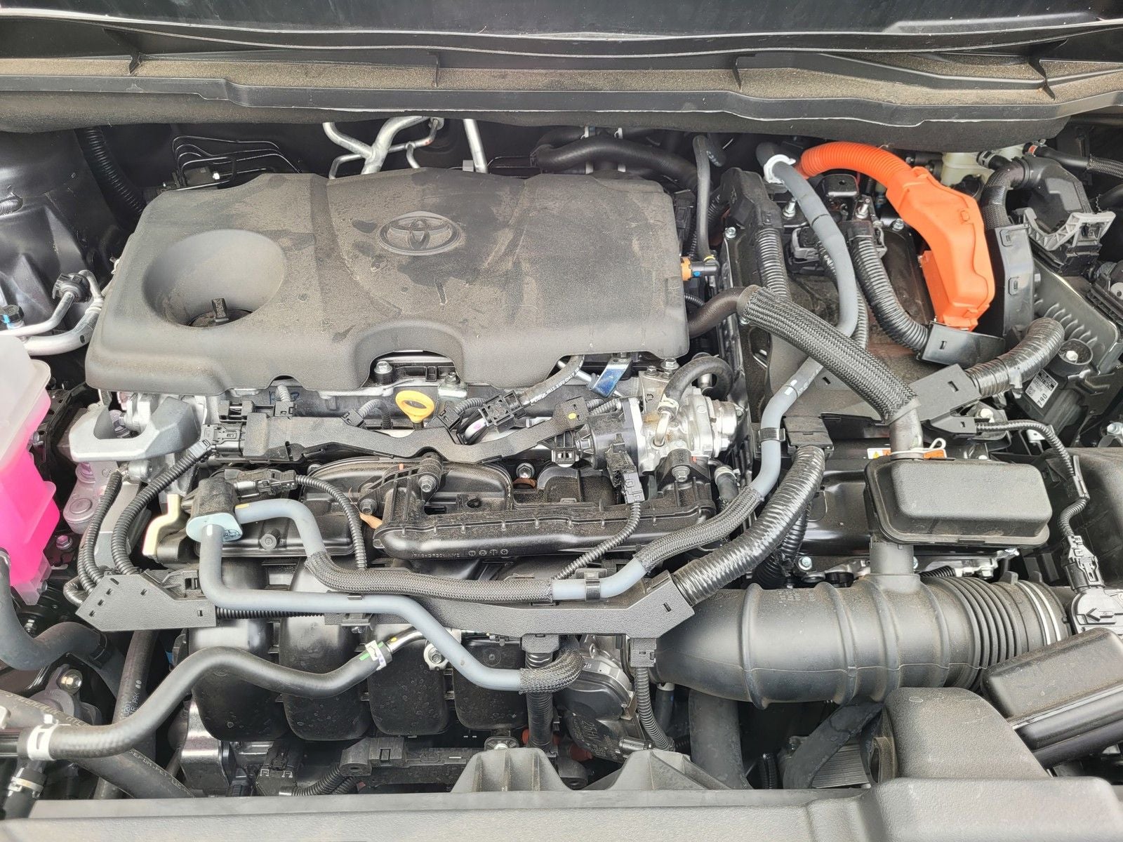 2025 Toyota Sienna Platinum 7 Passenger