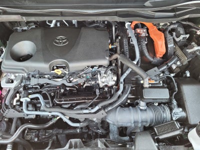 2024 Toyota Sienna XLE 7 Passenger