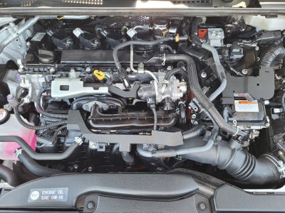 2024 Toyota Prius XLE